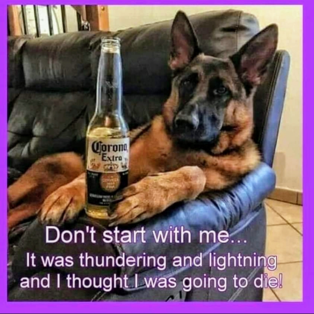 Giggles